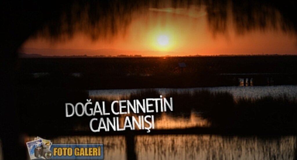 Kızılırmak Deltası'nda Baharın Müjdesi: Kuş Cenneti Doğal Güzelliğiyle Göz Kamaştırıyor