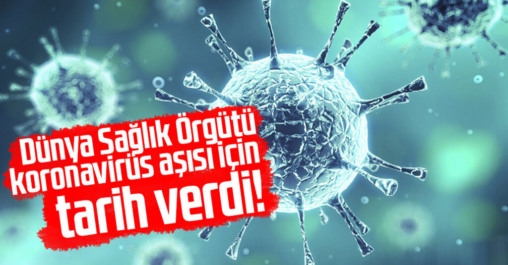 DSÖ: Koronavirüs Aşısı En Erken Yıl Sonunda Hazır Olabilir