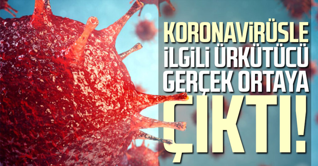 CDC: Koronavirüs Yüzeylerde Beklenenden Çok Daha Uzun Süre Yaşayabiliyor