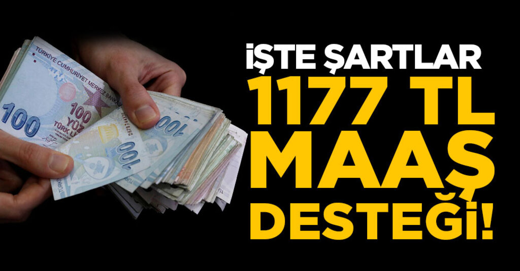 Ücretsiz İzne Çıkarılanlara 1.177 TL Destek: Nakdi Ücret Desteği Başvuruları Başladı