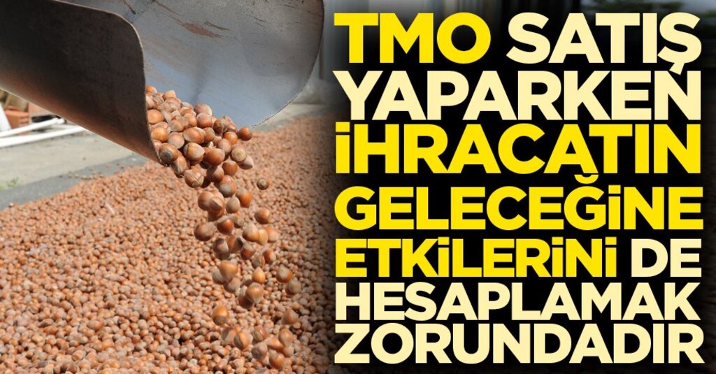 TMO'nun 2019 Fındık Politikası Sektörü Nasıl Etkiledi? Uzmanlardan Sürdürülebilirlik Uyarısı