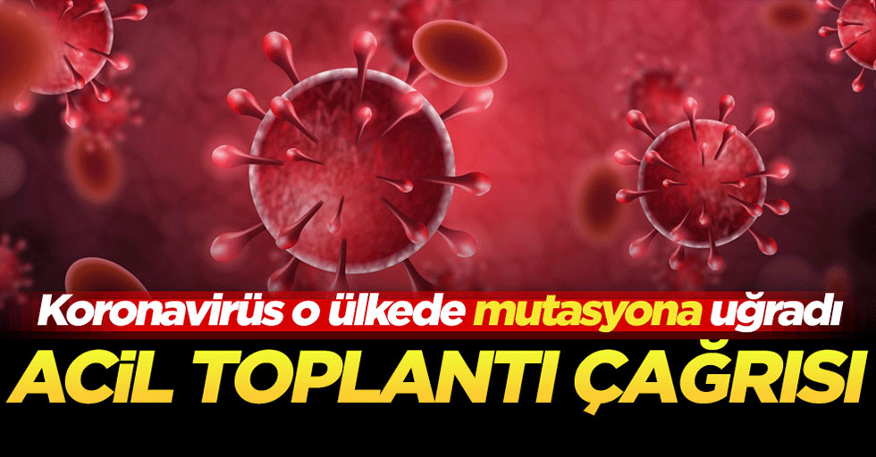 Koronavirüs o ülkede mutasyona uğradı! Acil toplantı çağrısı