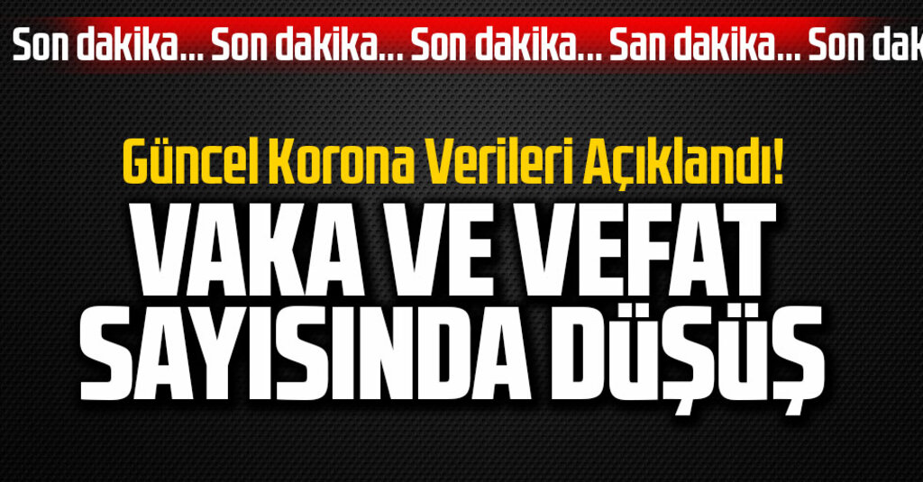 16 Ocak COVID-19 Tablosu Açıklandı: Vaka Sayısında Düşüş, Can Kaybında Yüksek Seyir Sürüyor
