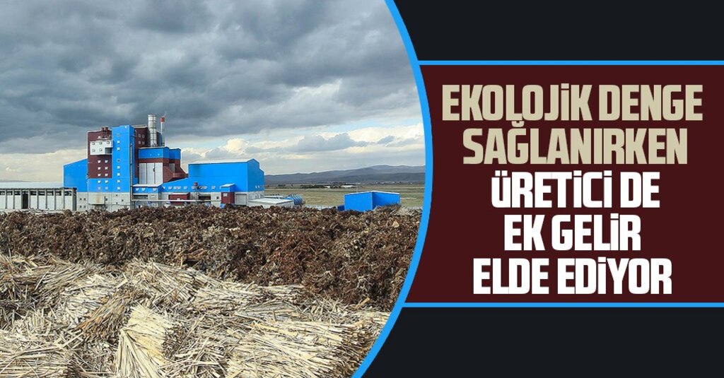 OKE'den Çevre Günü Mesajı: Biyokütle Enerjisi ile Temiz Geleceğe Katkı