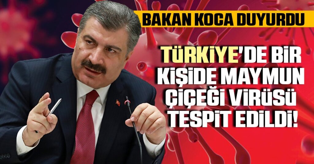 Sağlık Bakanı Koca: Türkiye'de İlk Maymun Çiçeği Vakası Tespit Edildi