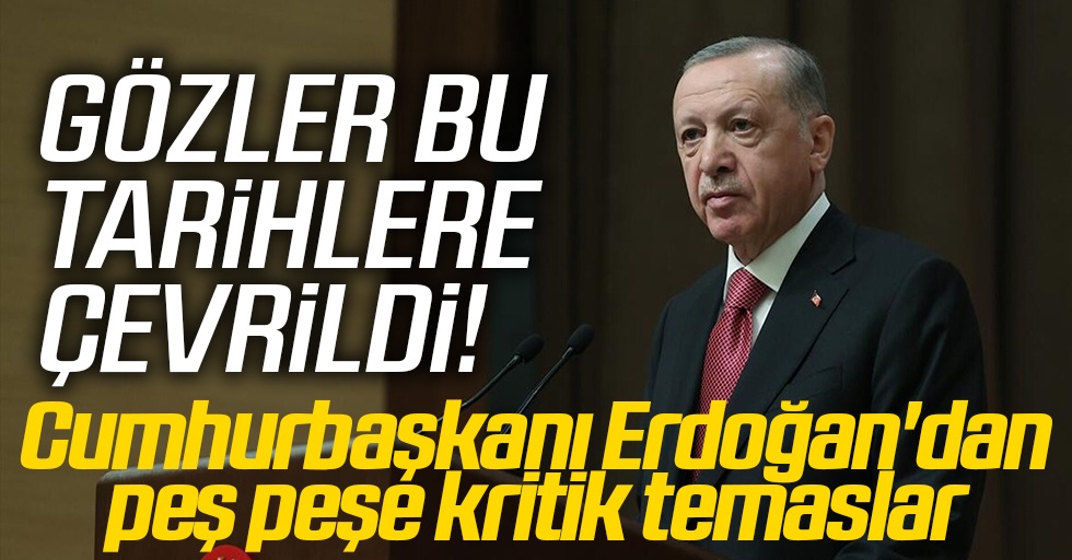 Gözler bu tarihlere çevrildi! Cumhurbaşkanı Erdoğan'dan peş peşe kritik temaslar