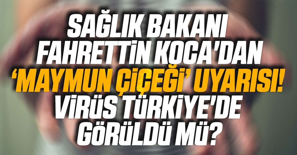 Sağlık Bakanı Fahrettin Koca'dan 'maymun çiçeği' uyarısı! Virüs Türkiye'de görüldü mü?