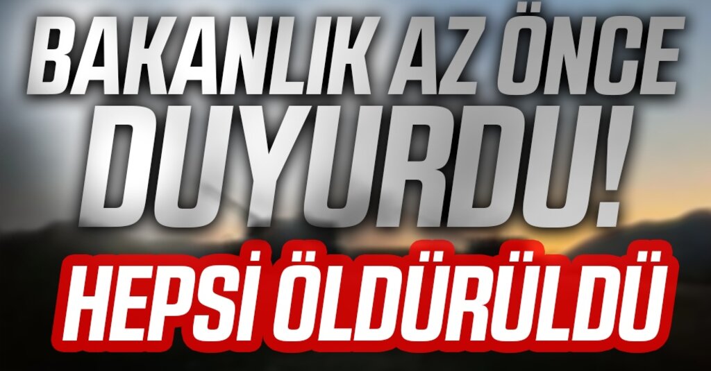 Barış Pınarı Bölgesinde Taciz Ateşi Açan 3 Terörist Etkisiz Hale Getirildi