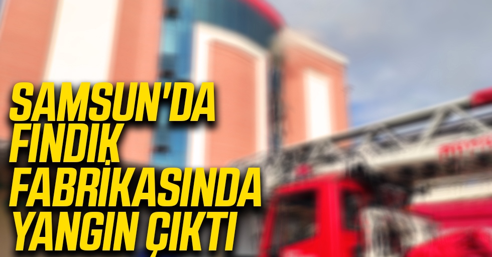 Samsun'da Fabrikada Yangın Çıktı