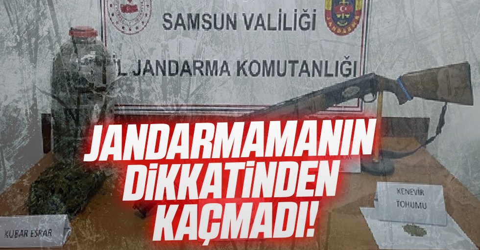 Samsun'da Jandarmanın dikkatinden kaçmadı! 2 gözaltı