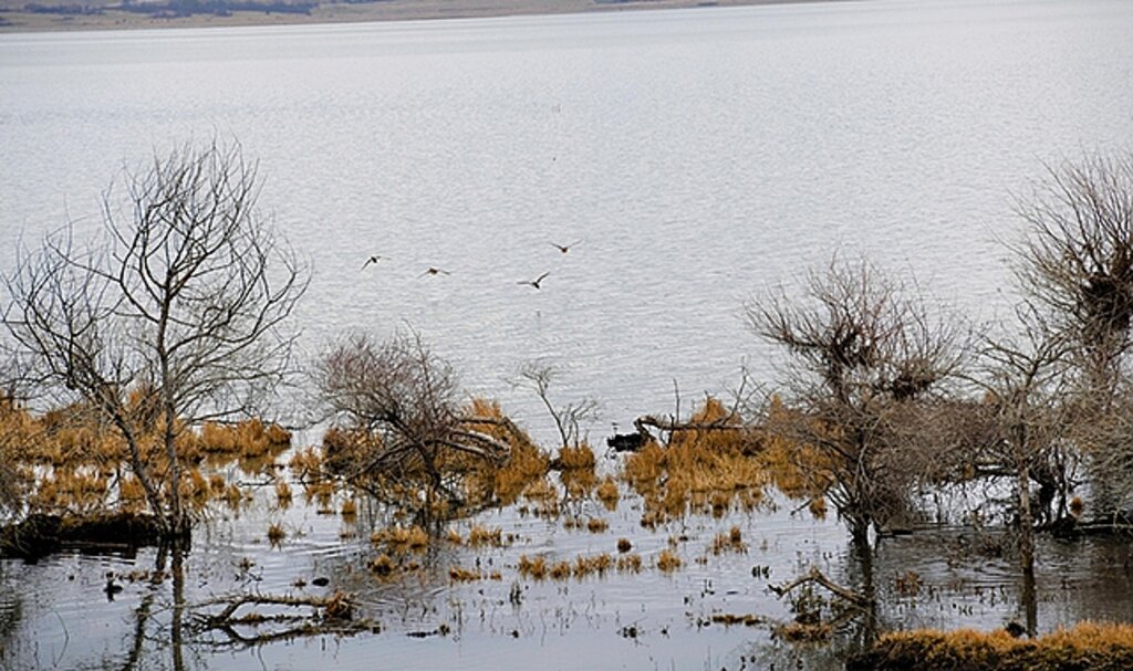 Ladik Gölü’nde Buzlanma Mesaisi: Büyükşehir Ekipleri Kuş ve Balıklar İçin Seferber Oldu