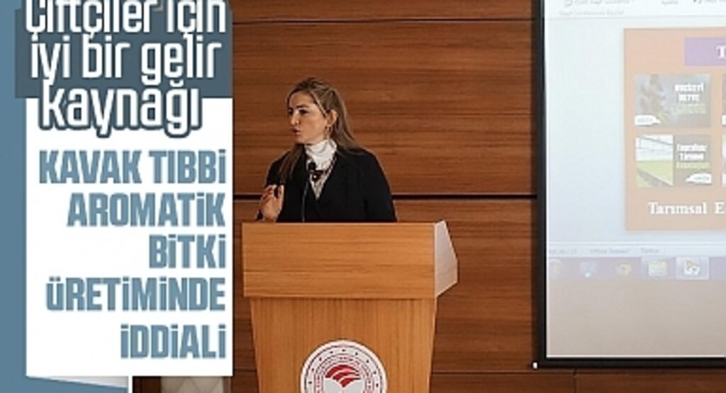 Kavak Tıbbi Aromatik Bitki Üretiminde İddialı