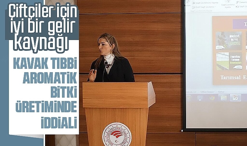 Kavak, Tıbbi Aromatik Bitki Üretiminde Söz Sahibi Olmak İstiyor