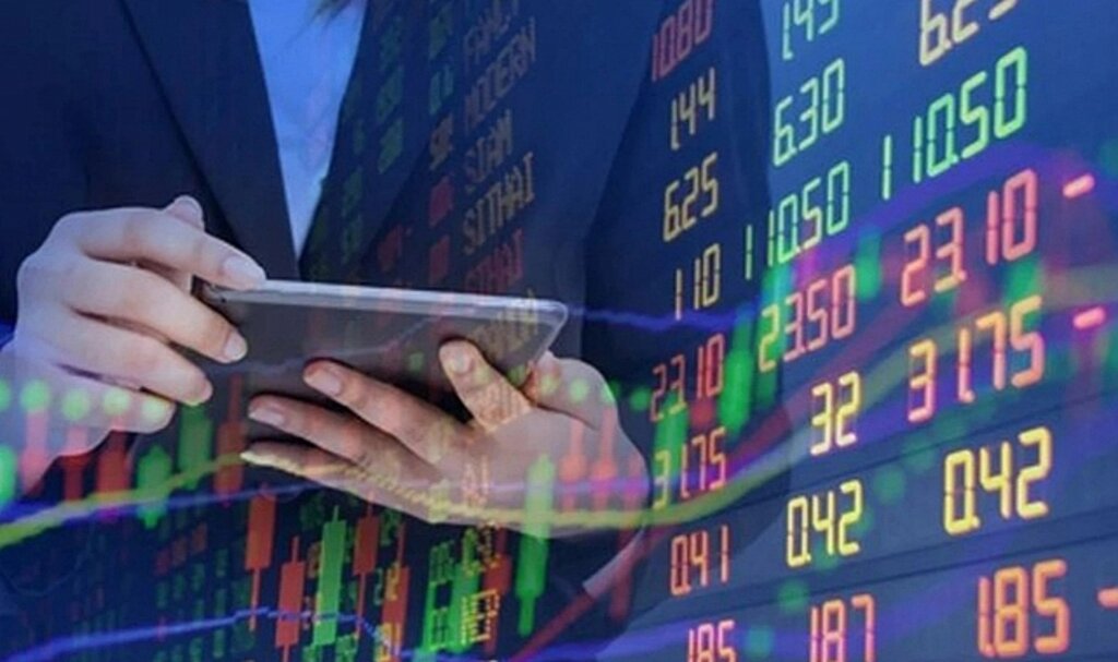 Göknur Gıda Halka Arz Detayları: GOKNR Hisse Fiyatı, Lot Sayısı ve Dağıtım Yöntemi