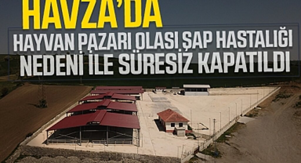 Hayvan Pazarı Olası Şap Hastalığı Nedeni İle Süresiz Kapatıldı
