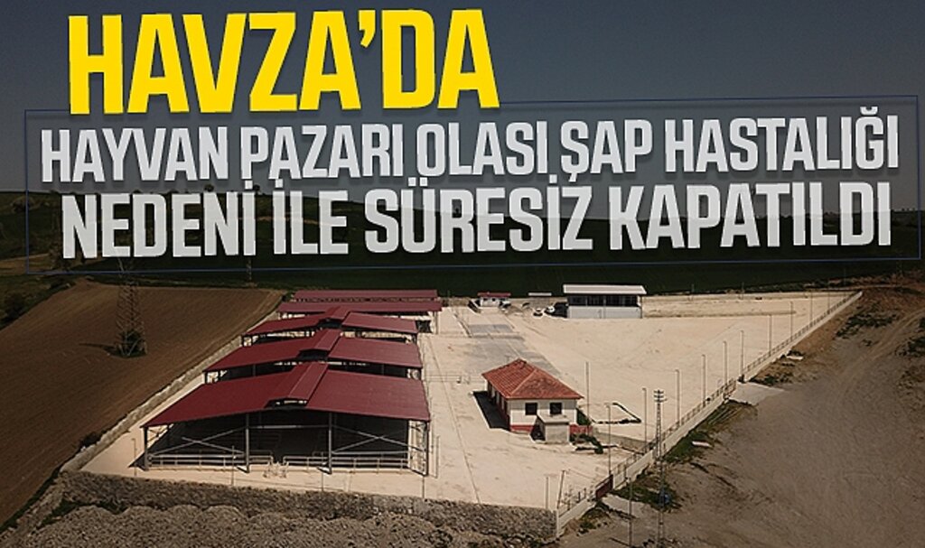 Samsun’da şap riski sonrası Havza canlı hayvan pazarı kapatıldı