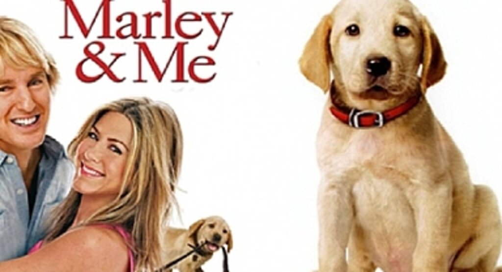 Marley ve Ben filminin konusu nedir? Marley ve Ben oyuncu kadrosu! Marley ve Ben kaç yılında, nerede çekildi?