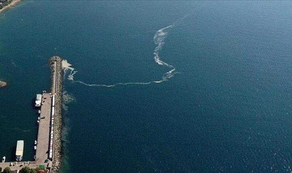Marmara Denizi Neden Çekildi? Uzmanlar Açıkladı: Depremle İlgili mi?