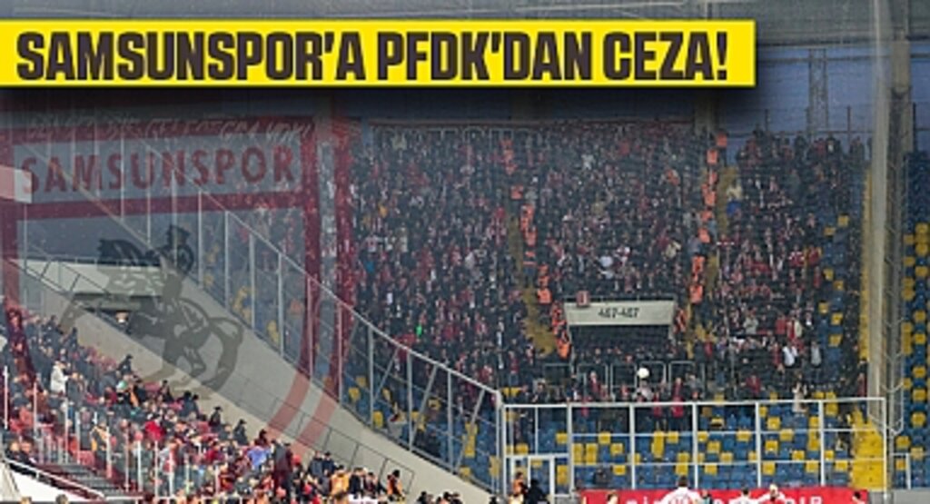 Samsunspor'a Para Cezası Verildi, Gençlerbirliği Antrenörü İhtar Ceza Alarak Kurtuldu