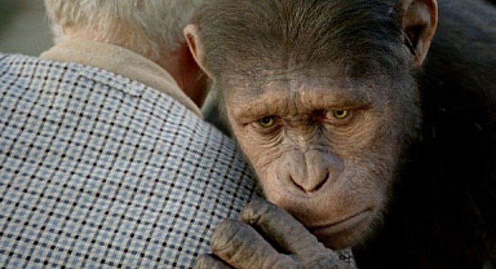 Maymunlar Cehennemi: Başlangıç filminin konusu nedir? Maymunlar Cehennemi: Başlangıç oyuncu kadrosu! Maymunlar Cehennemi: Başlangıç kaç yılında, nerede çekildi?