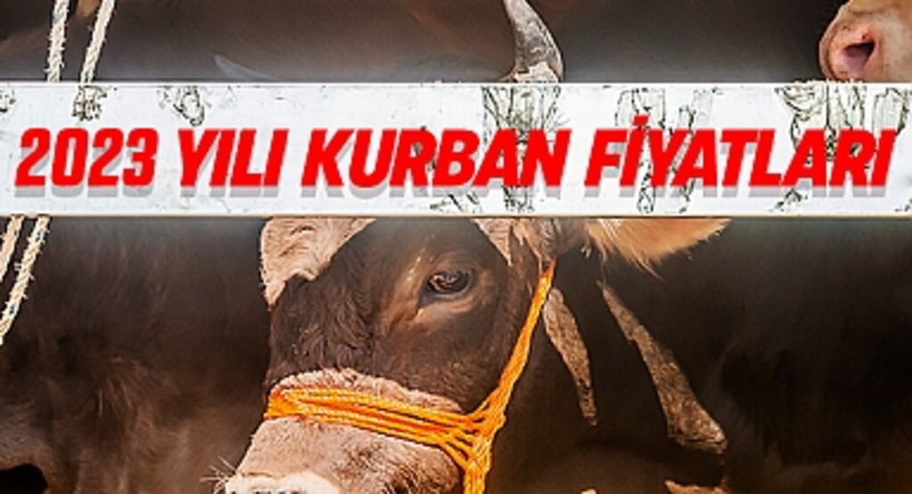 Kurban Bayramı Yaklaşırken Fiyatlar Cep Yakıyor: Büyükbaşta 100 Bin TL’yi Aşıyor