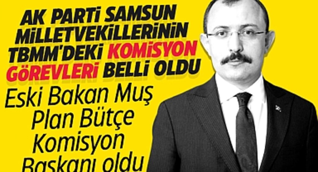 AK Parti Samsun Milletvekillerinin TBMM'deki Görevleri Belli Oldu