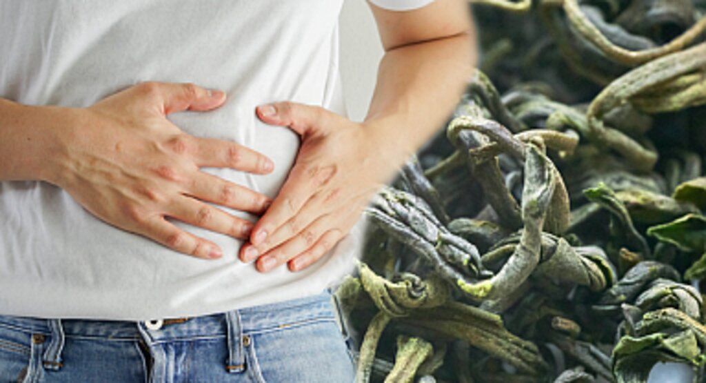 Yeşil Çayla İlgili Yeni Uyarı: Her Gün İçilen Bu Bitki Risk Taşıyabilir