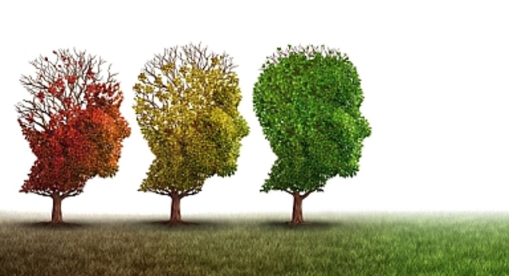 Zihin Yaşı Testleri: Gerçek Yaşınızla Duygusal Yaşınız Arasındaki Bağlantı Nedir?