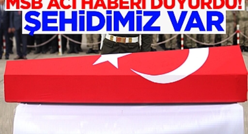 Piyade Teğmen Eril Alperen Emir, Hain Saldırıda Şehit Oldu