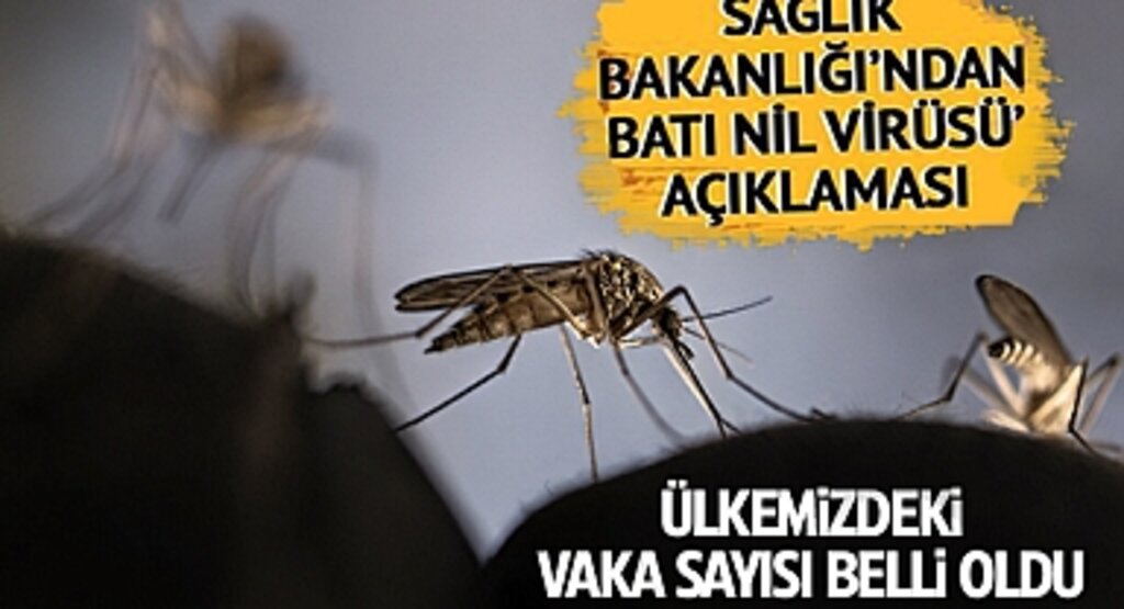Sağlık Bakanlığı'ndan Batı Nil Virüsü Açıklaması: 2024 Yılında 6 Vaka Tespit Edildi