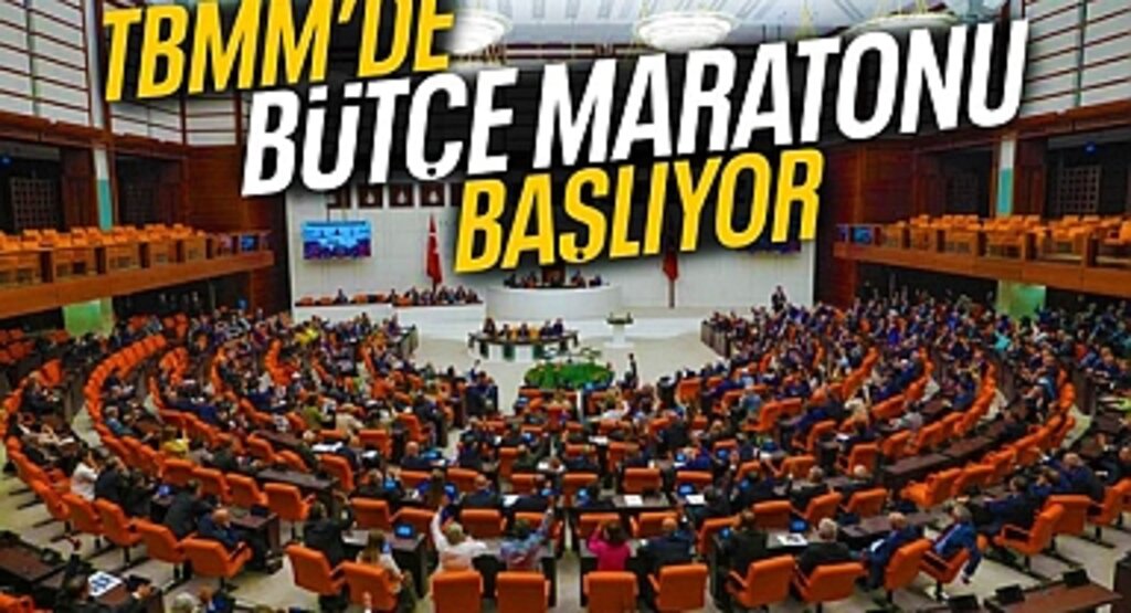 2025 Yılı Bütçe Maratonu TBMM'de Başlıyor: İlk Adım Plan ve Bütçe Komisyonu'nda