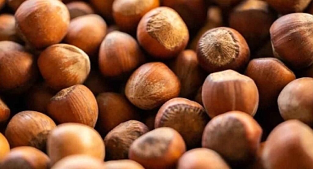 5 Ekim Güncel Fındık Fiyatları Açıklandı! Üreticiler Dikkat, Fiyatlar Yükselişte