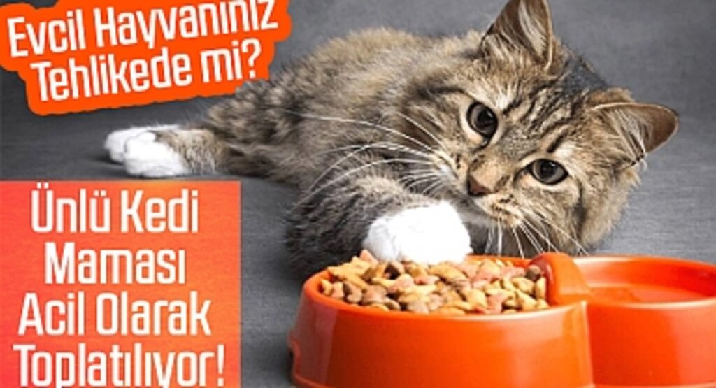 Evcil Hayvanınız Tehlikede mi? Ünlü Kedi Maması Acil Olarak Toplatılıyor!