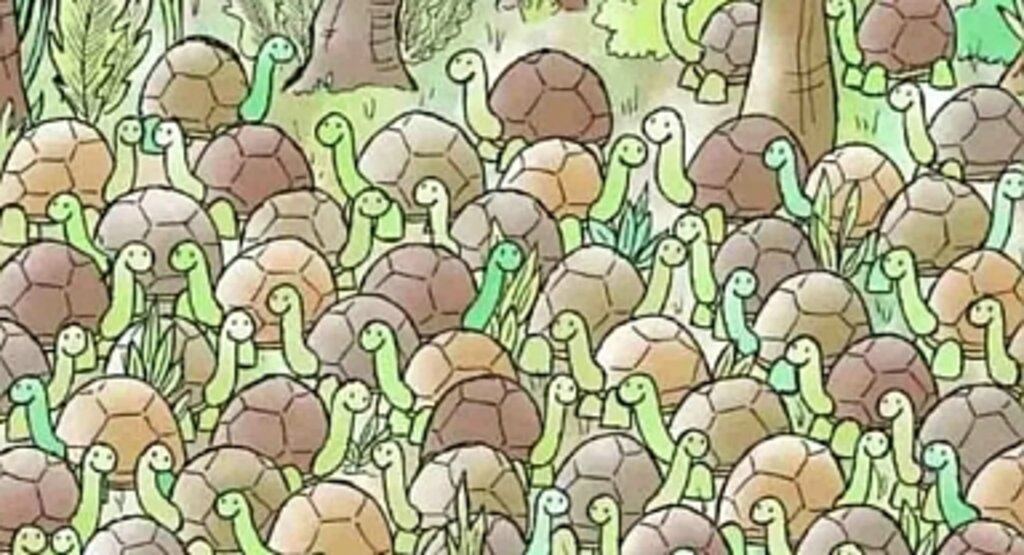 Resimli Zeka Testi: Kaplumbağalar Arasında Gizlenen Yılanı 5 Saniyede Bulabilir misiniz?