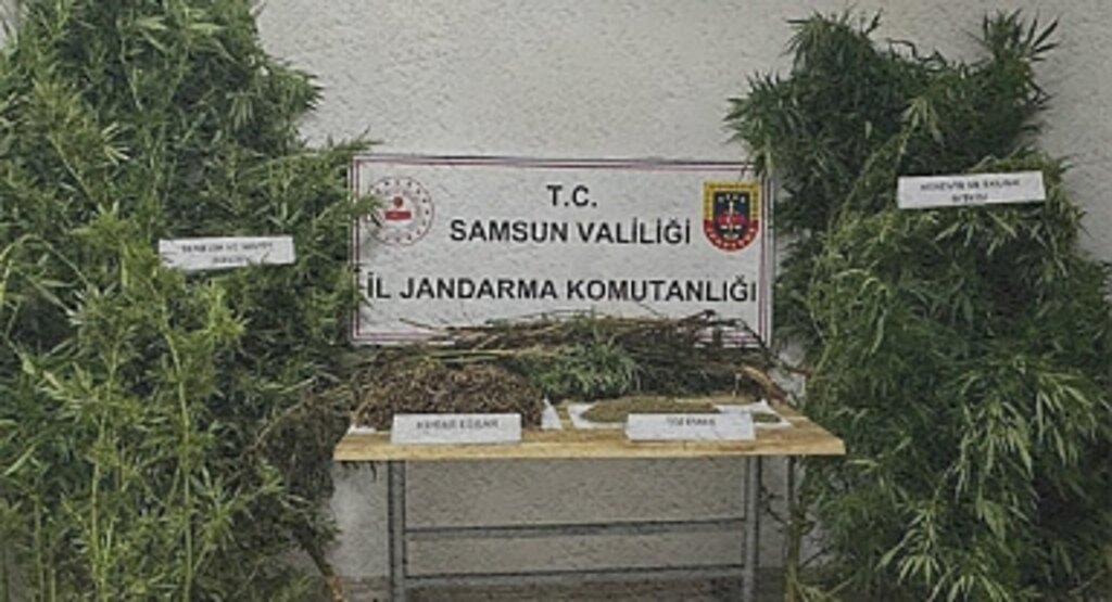 Samsun İl Jandarma Komutanlığı Eylül Ayı Raporu: 655 Aranan Şahıs Yakalandı, Yüzlerce Uyuşturucu Operasyonu Gerçekleştirildi