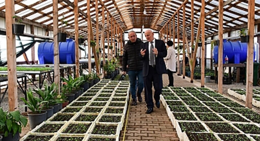 Terme Belediyesi, 40 Bin Fideyi Toprakla Buluşturacak