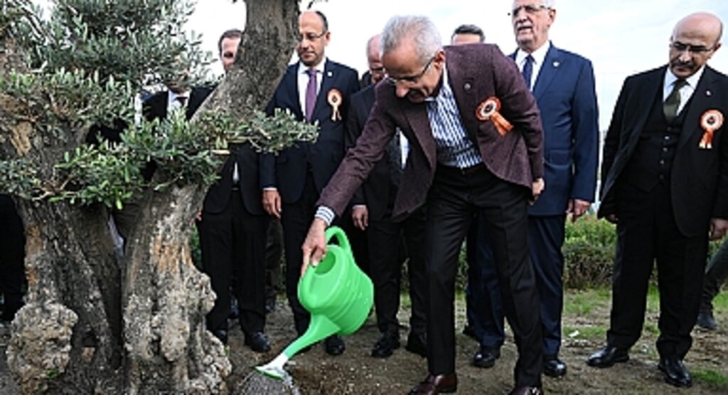 Ulaşım Projelerinde Büyük Ağaçlandırma ve Ekolojik Köprü Hamlesi