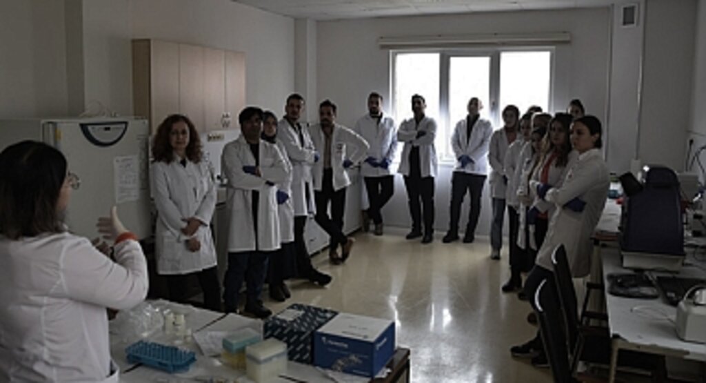 KİTAM ve Yaban Hayatı Araştırma Enstitüsü Ortaklığıyla PCR Eğitimi: Bilimsel Araştırmalara Yeni Katkılar