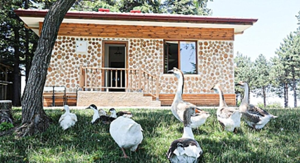 Canik Orman Okulu: 4974 Öğrenciye Doğa ile İç İçe Eğitim
