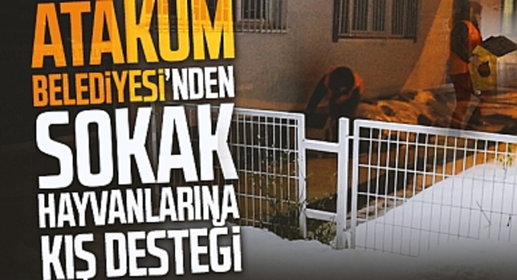 Atakum Belediyesi’nden Sokak Hayvanlarına Kış Desteği