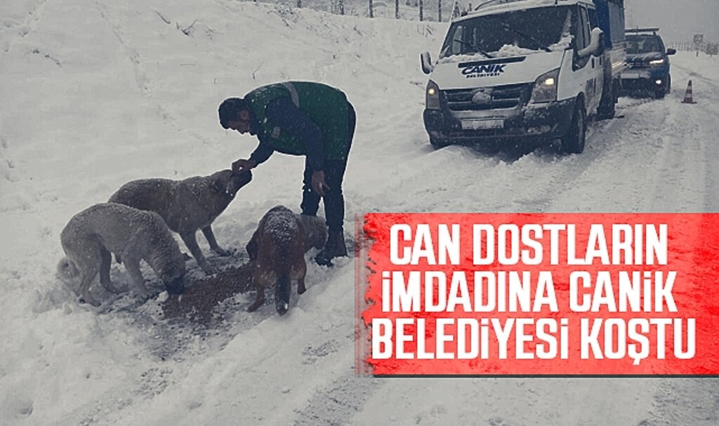 Canik'te Kar Mesaisi: Hem Yollar Açılıyor Hem Sokak Hayvanları Besleniyor
