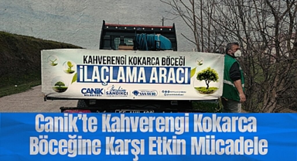 Canik’te Kahverengi Kokarca Böceğine Karşı Etkin Mücadele