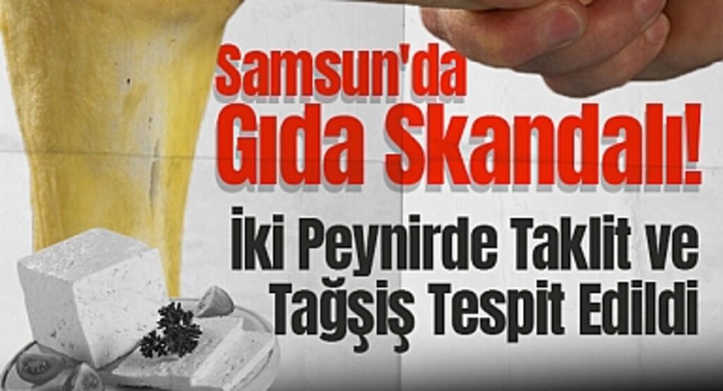 Samsun'da Gıda Skandalı! İki Peynirde Taklit ve Tağşiş Tespit Edildi