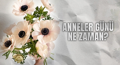 Anneler Günü 2025 Ne Zaman? Geri Sayım Başladı! Bu Yıl Anneler Günü Hangi Güne Denk Geliyor?