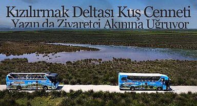Kızılırmak Deltası Kuş Cenneti Yazın da Ziyaretçi Akınına Uğruyor