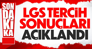 LGS 2025 Yerleştirme Sonuçları Açıklandı! MEB'den Nakil Takvimi ve Detaylar