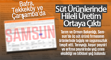 Samsun'da Gıda Alarmı: Üç Firma Taklit ve Tağşiş Listesinde