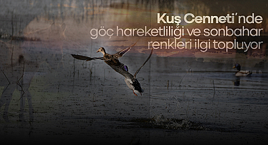 Kuş Cenneti’nde Sonbahar Renkleri Ziyaretçileri Büyülüyor