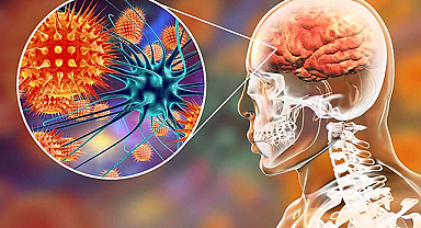 Korkutan Soru: Menenjit İnsandan İnsana Geçer mi? İşte Korunma Yolları