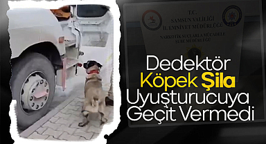 Dedektör Köpek Şila Uyuşturucuya Geçit Vermedi